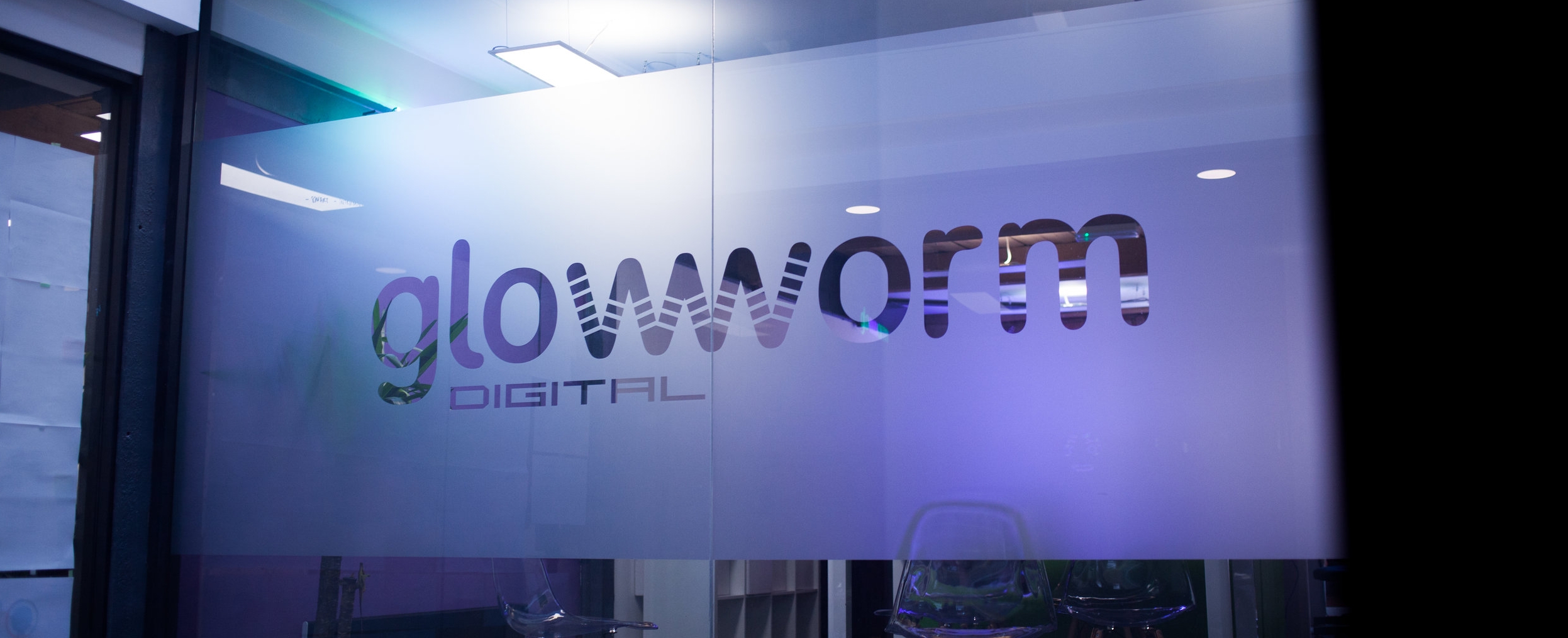 glowworm-27.jpg