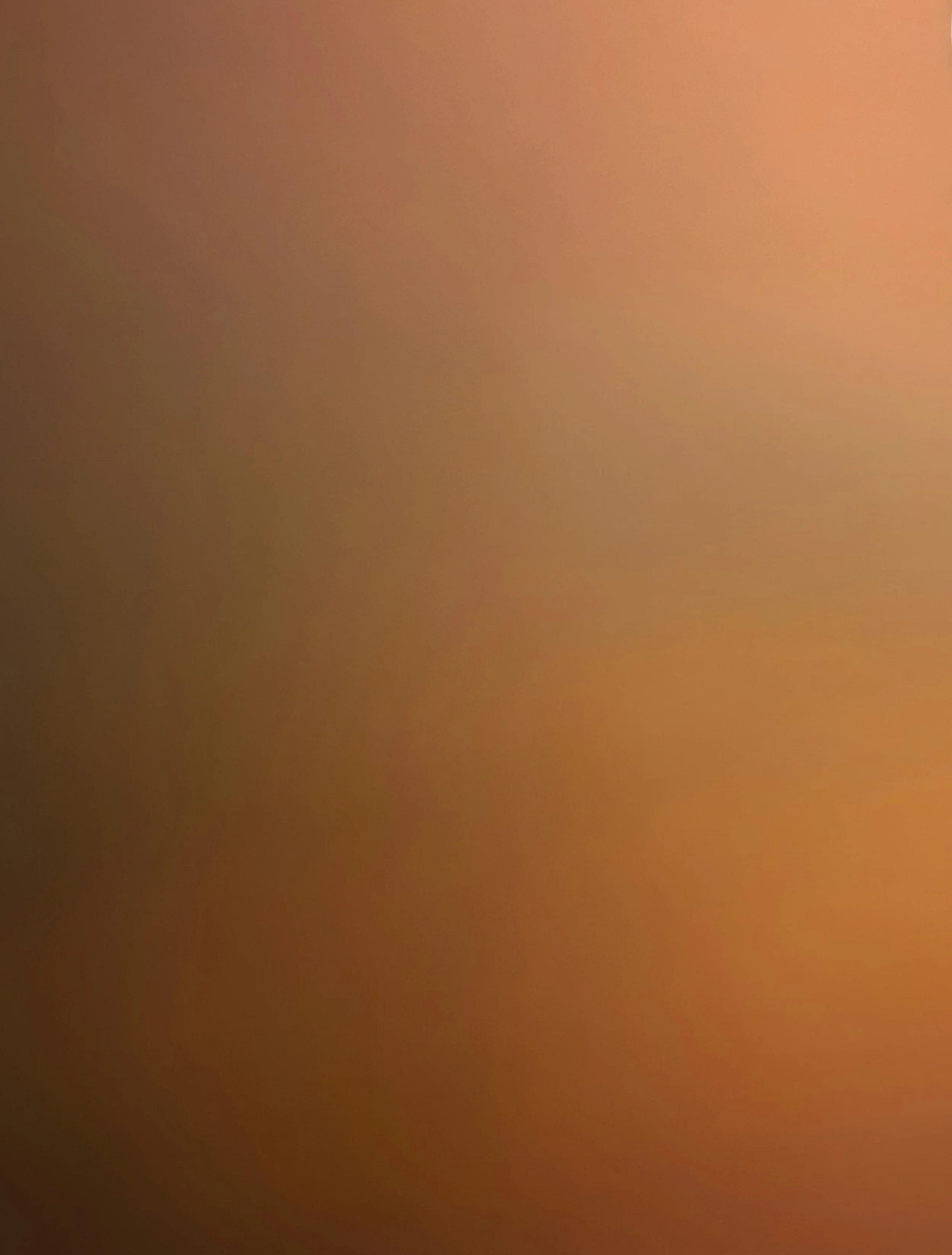 NH-SS26-BACKCOVER-V1-BIRD.jpg