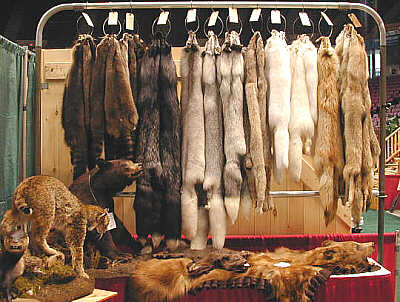 Taxidermy, furs, and related supplies & materials