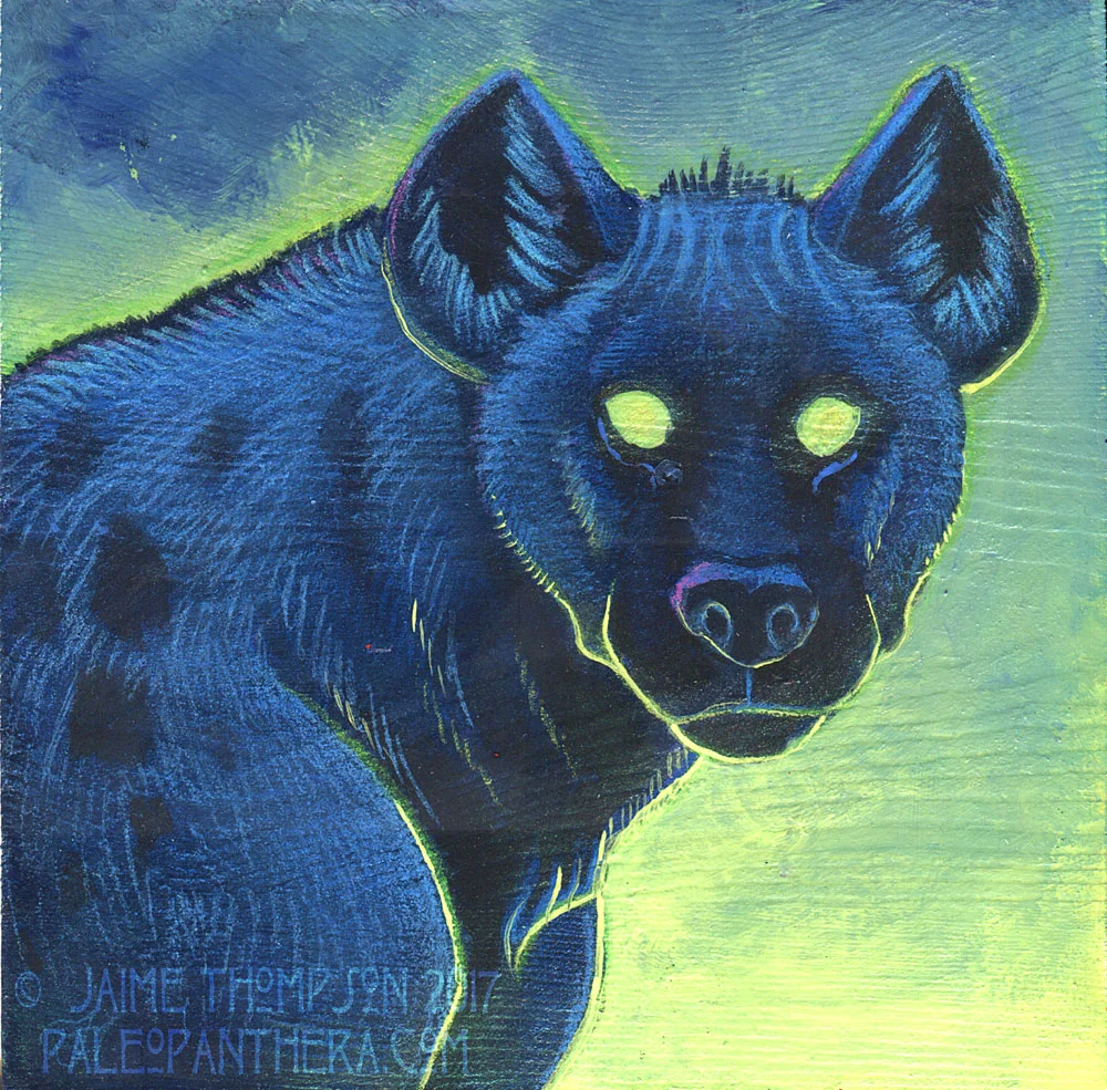 Spotted Hyena