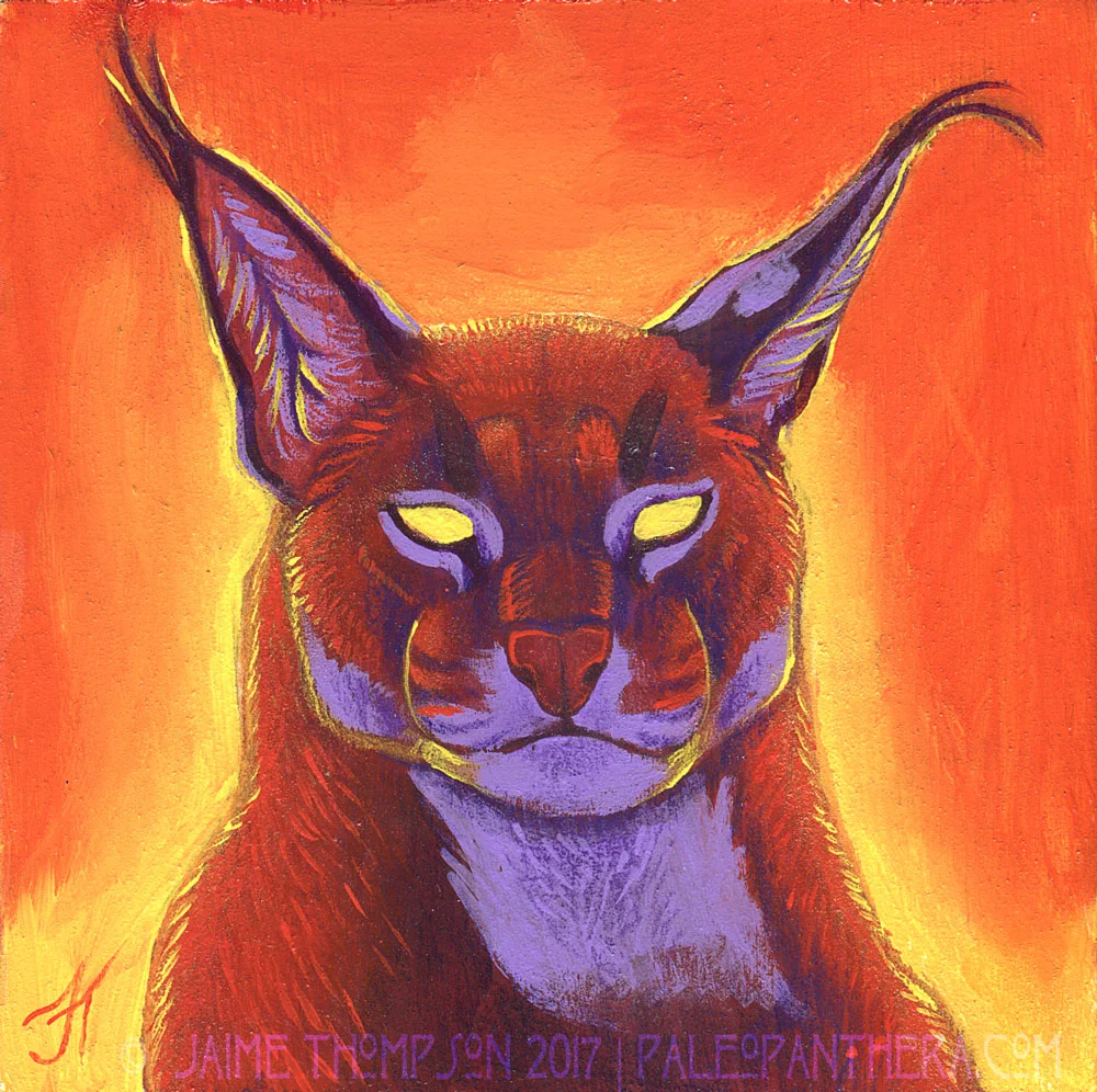Caracal