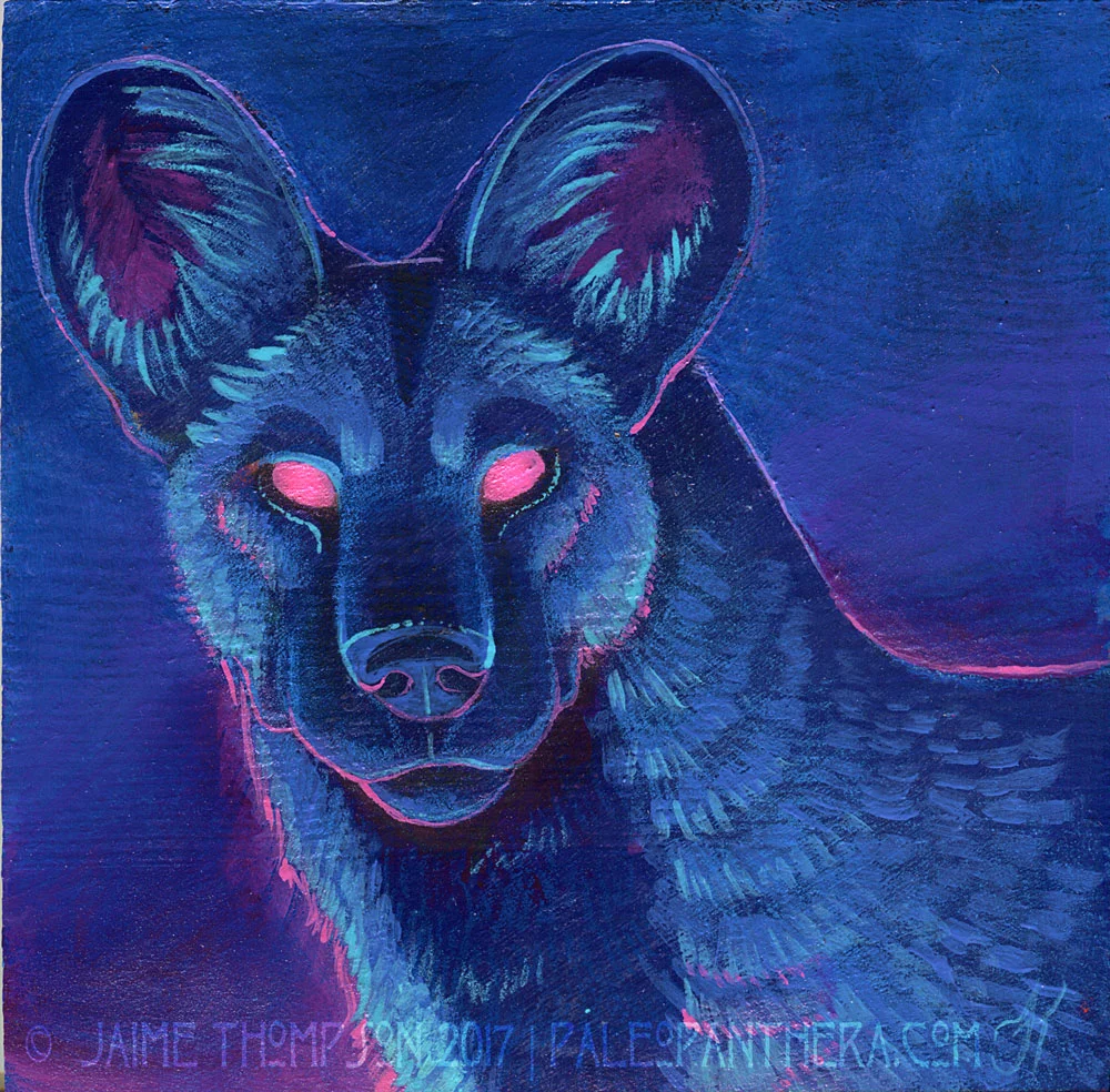 African Wild Dog