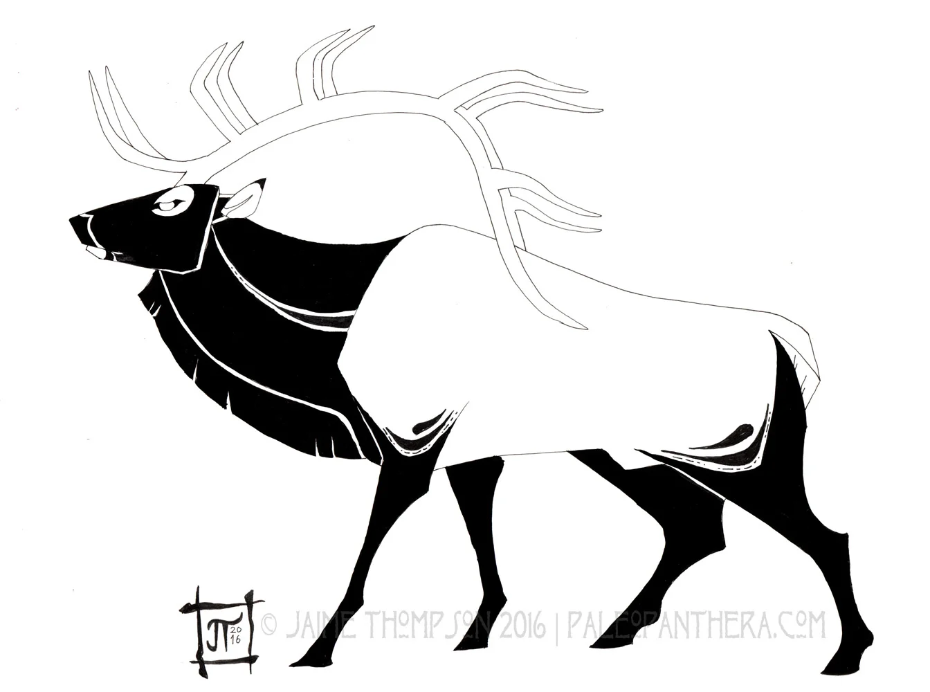 Cave art elk; black and white pen. 2016.