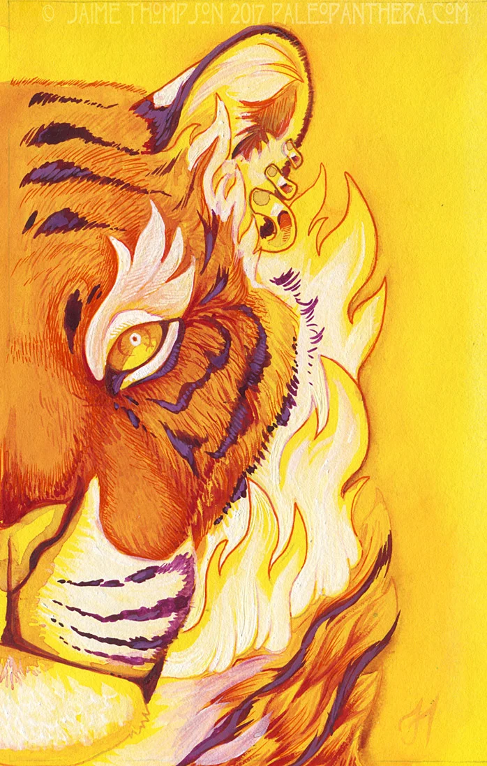 Fire Tiger 2017; pen, watercolor, and acrylic inks.