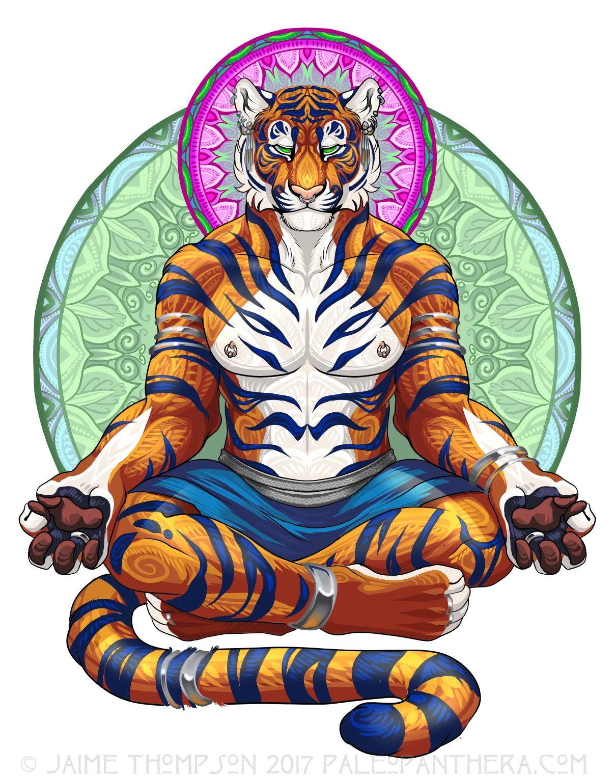 Meditations: Tiger