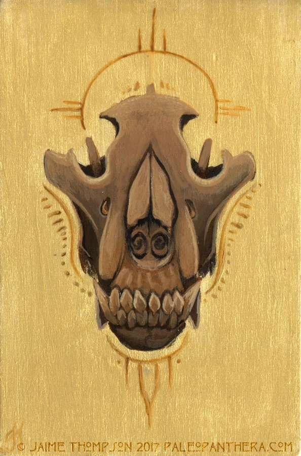 Animal Skull Iconography - Gray Wolf