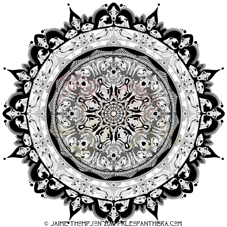 Genus Panthera Mandala
