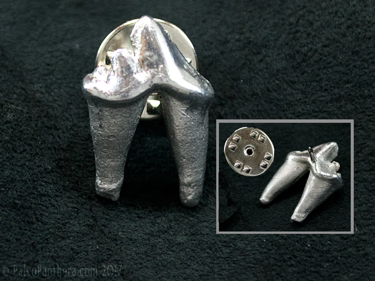 Coyote Tooth Pin