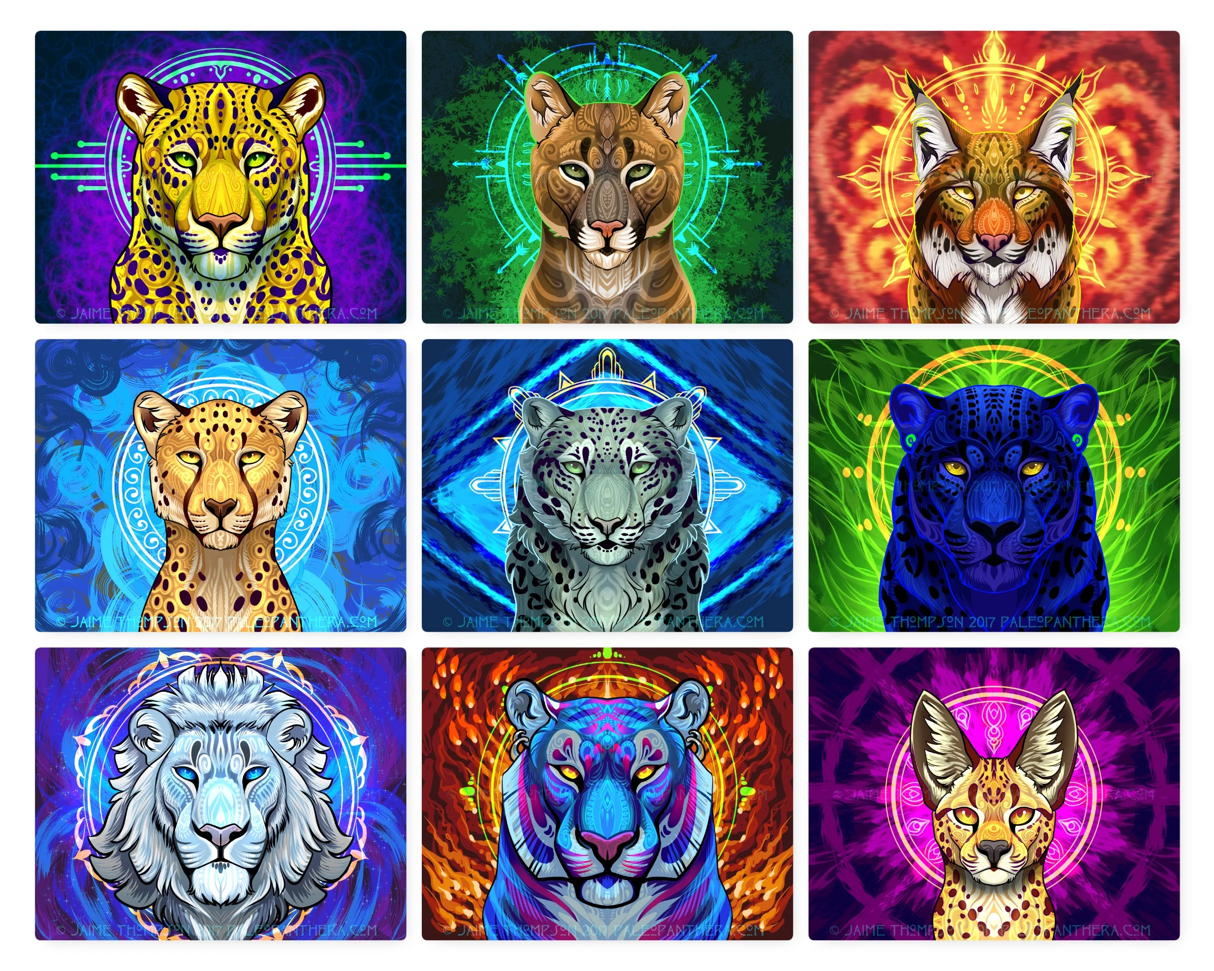 Tribal Cats 2017