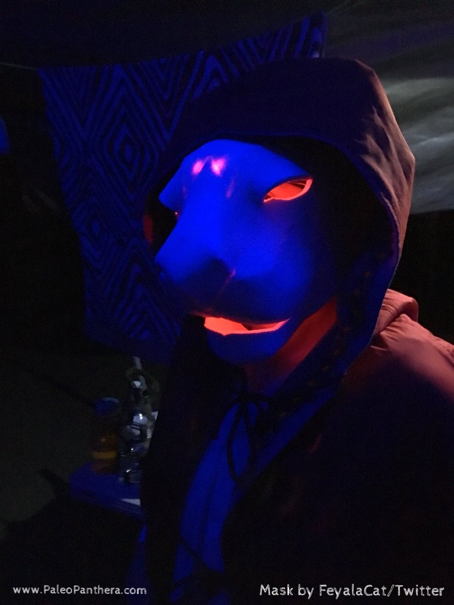 feyalacat_fromtwitter_maskpatterntake.jpg