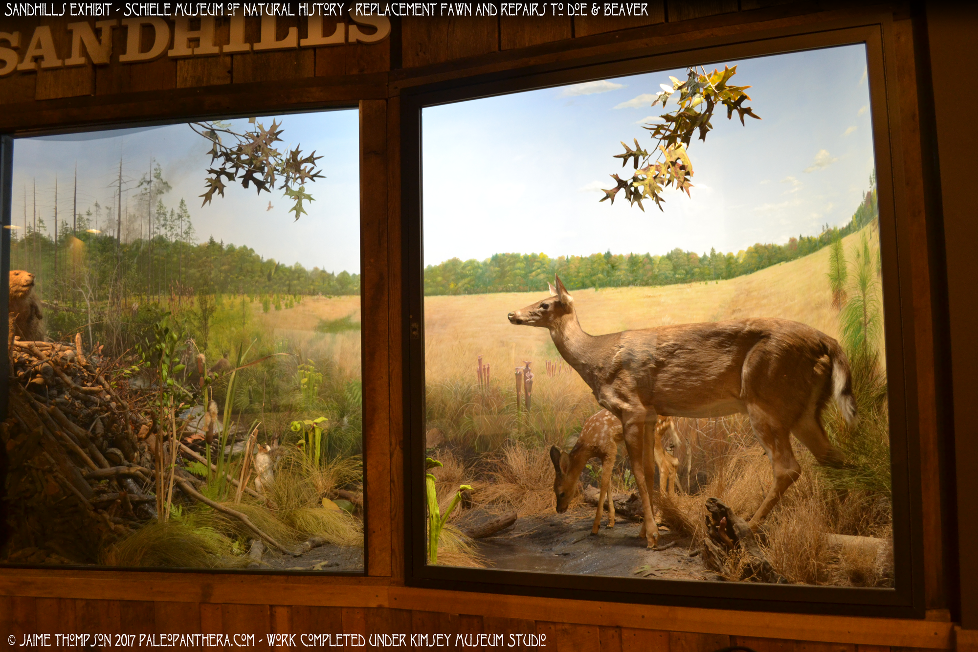 schielemuseumwork1_deerrepairs.png