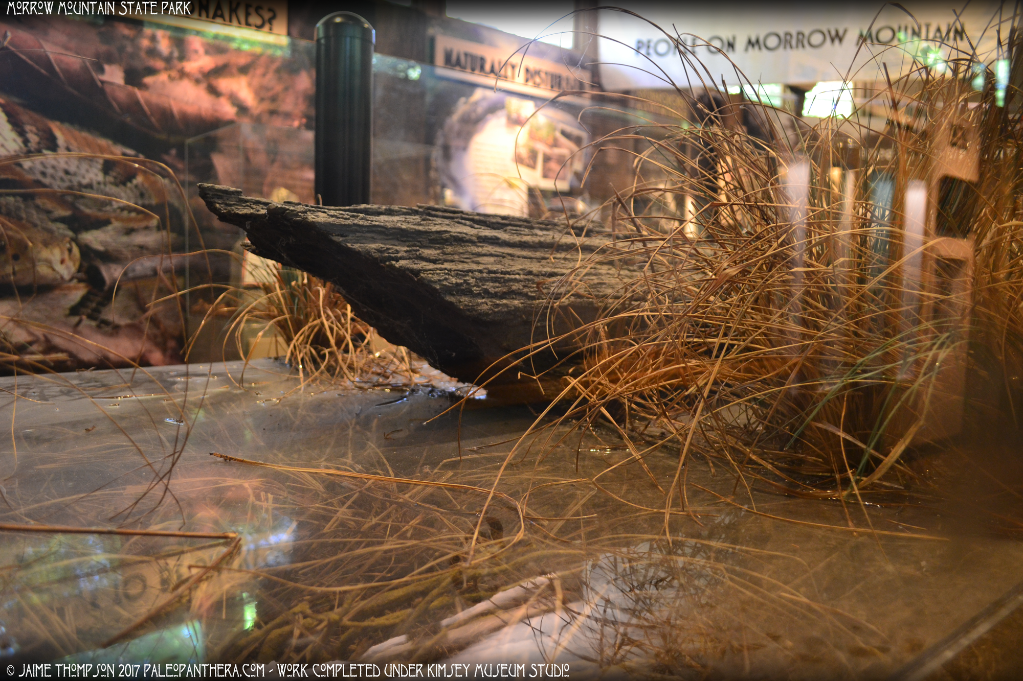 morrowmountain2_wholeexhibit.png