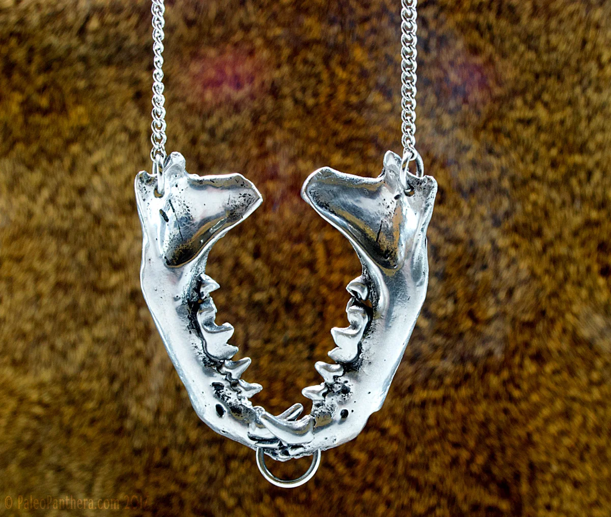 doublejawbone_6.jpg