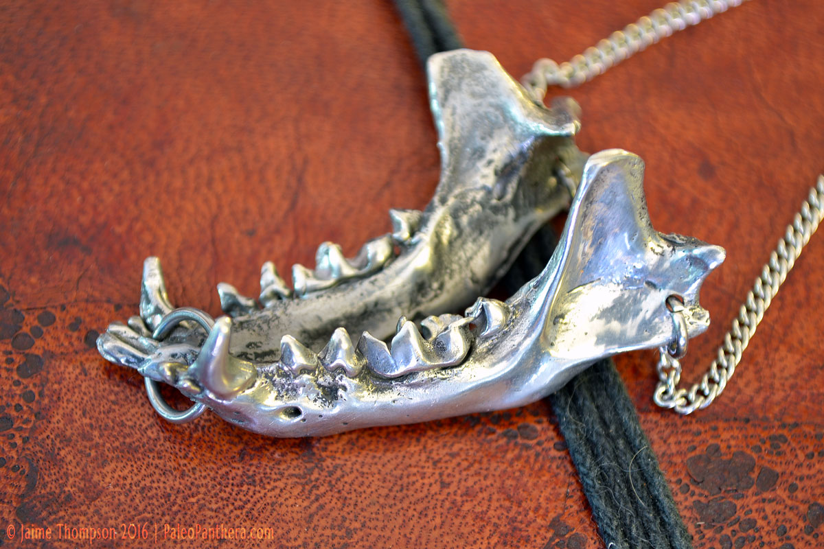 doublejawbone_4.jpg
