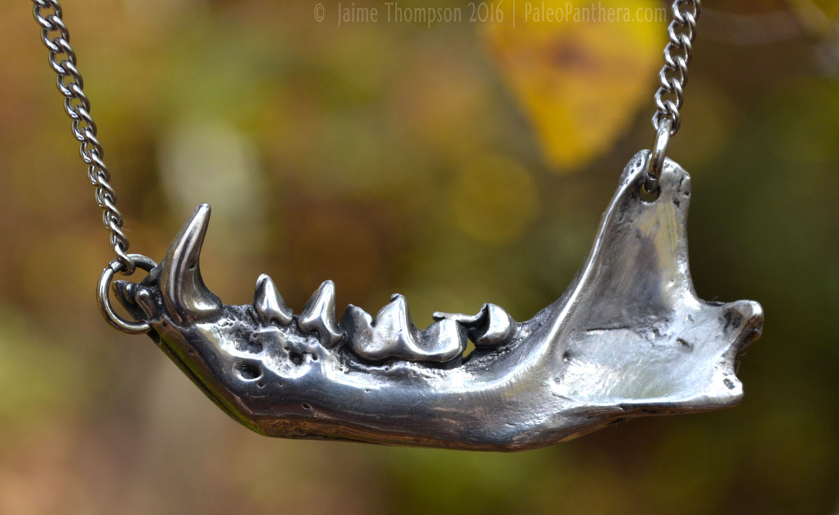 jawbone_2.jpg