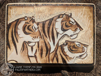 2020 Burnt Cats - Tigers