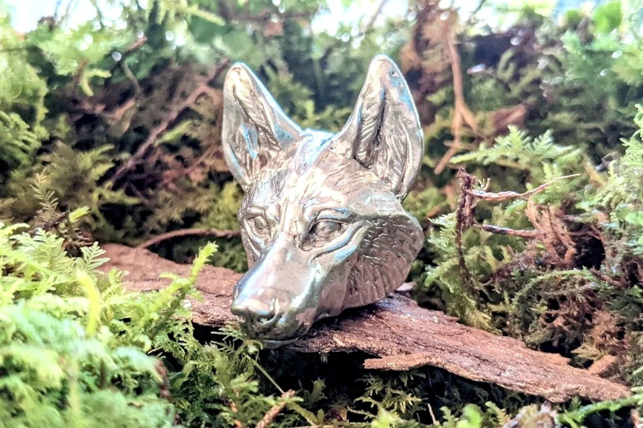 pewtereyecoyote1.jpg
