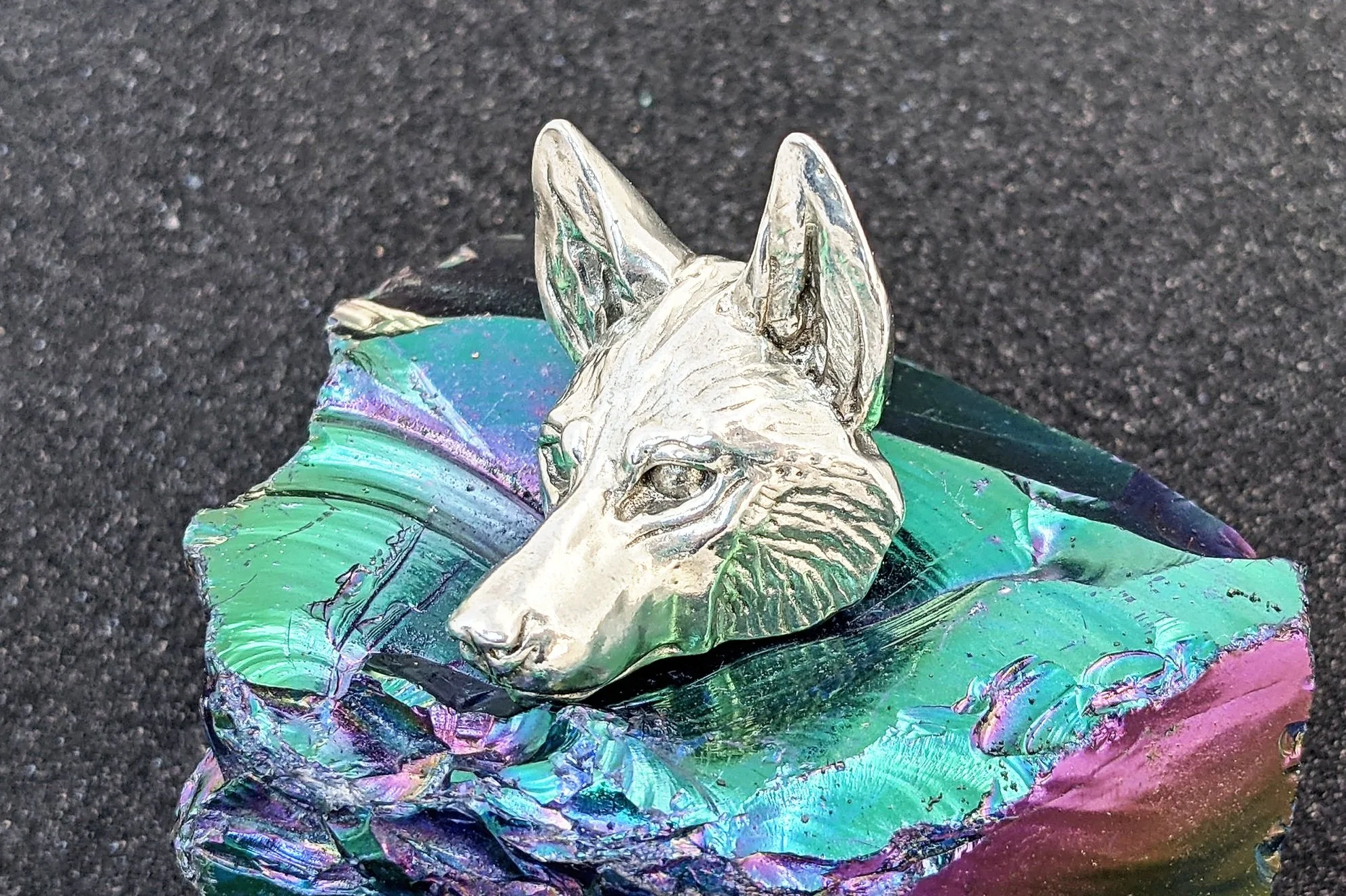 pewtereyecoyote4.jpg