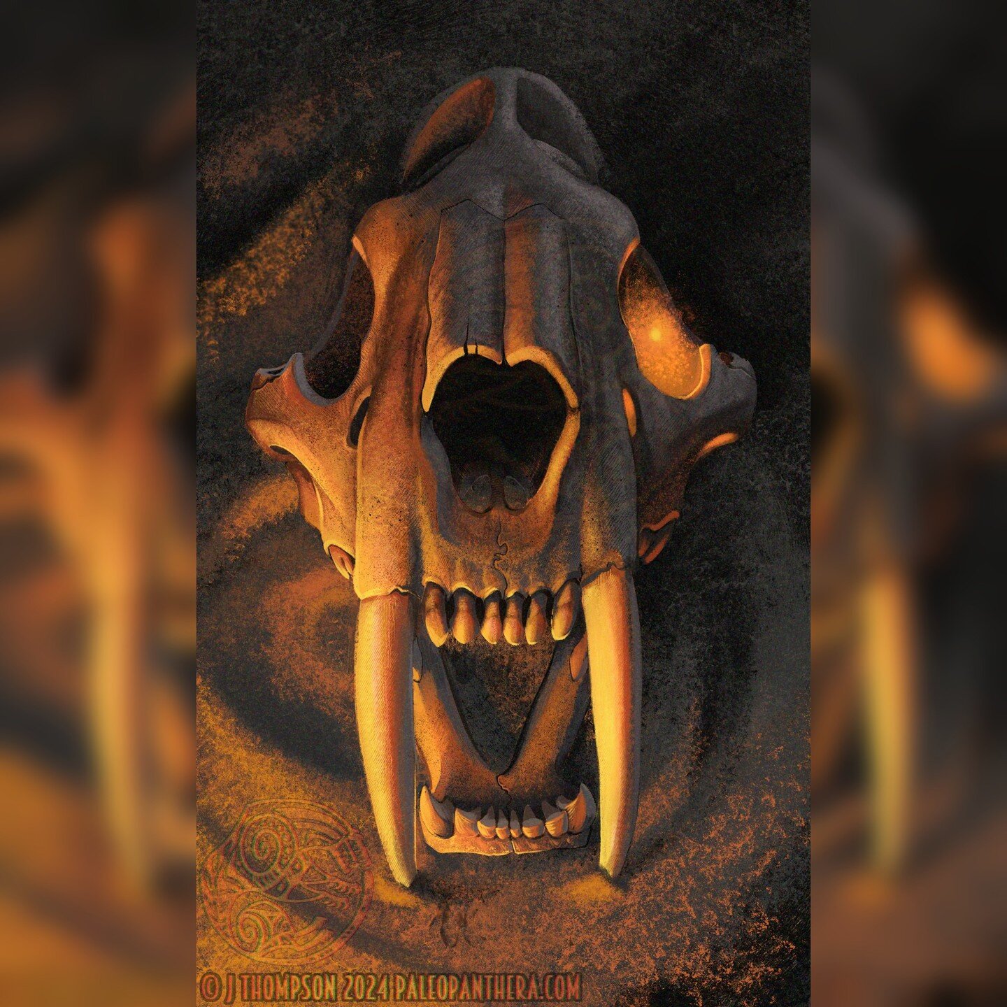 The Smilodon prospective oracle card. #art #paleontology #fossil #palaeosinensisart #fossils #smilodon #sabertooth #sabertoothtiger #bigcat #skull #skulls #vultureculture #bone #bones #oracledeck #oraclecards #tarot #illustration #digitalart #paintin