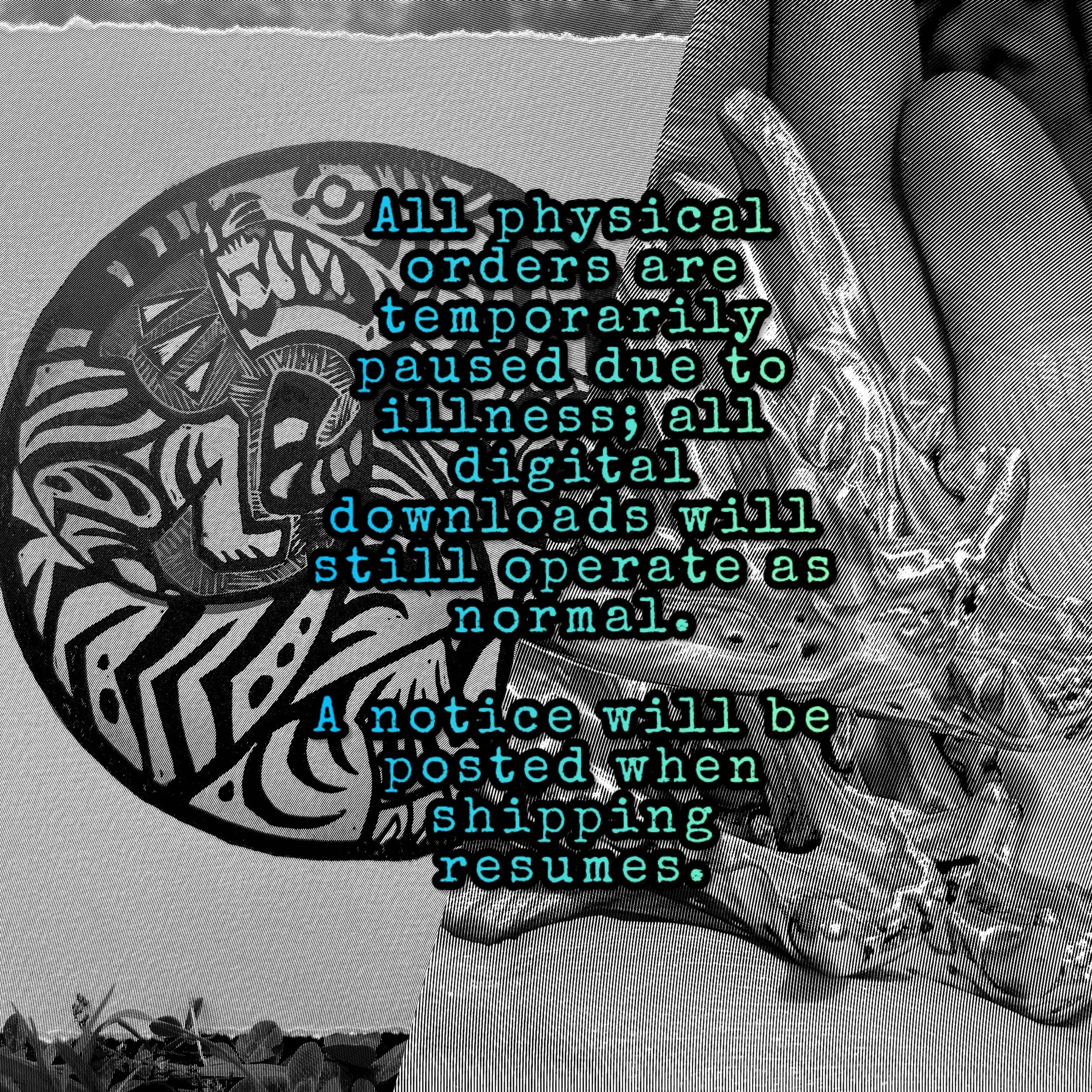 Temporary Shipping Pause