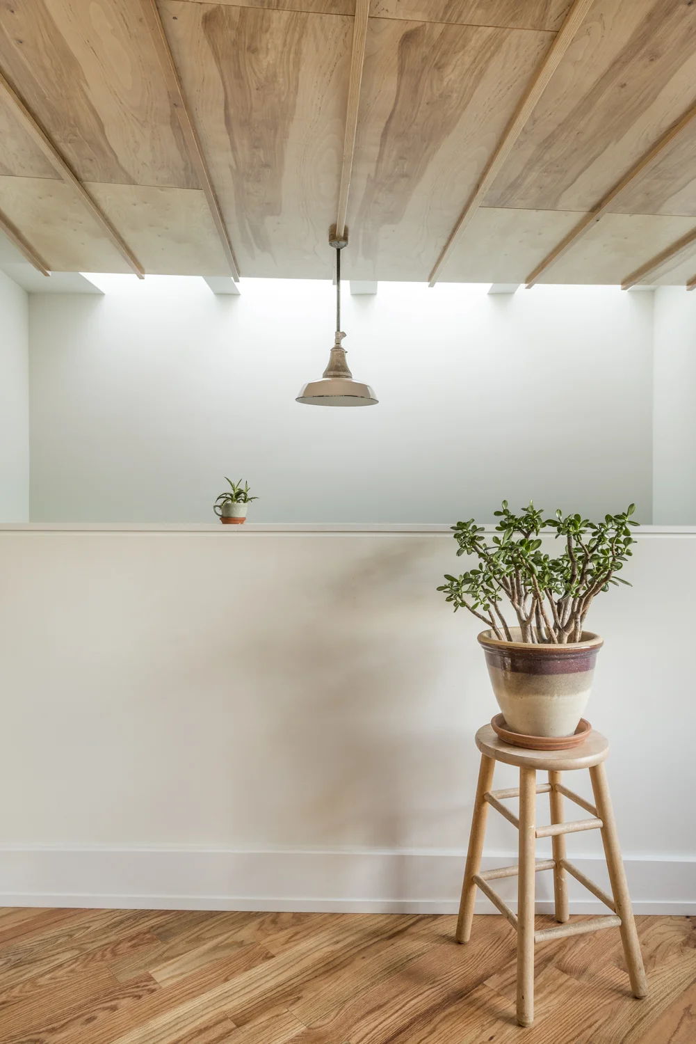 Sepviva final adorned-160.jpg