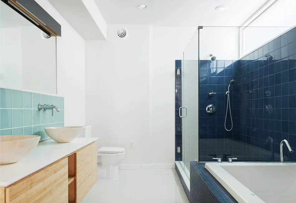 THINS_20_MASTER BATH.jpg