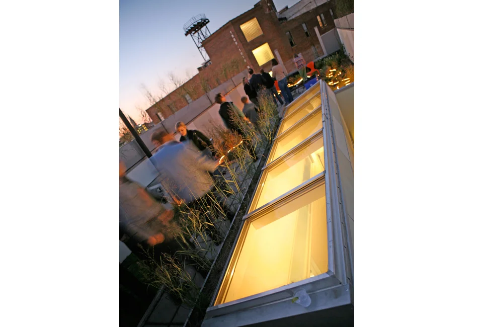 THINS_23_GREENROOF 3.jpg