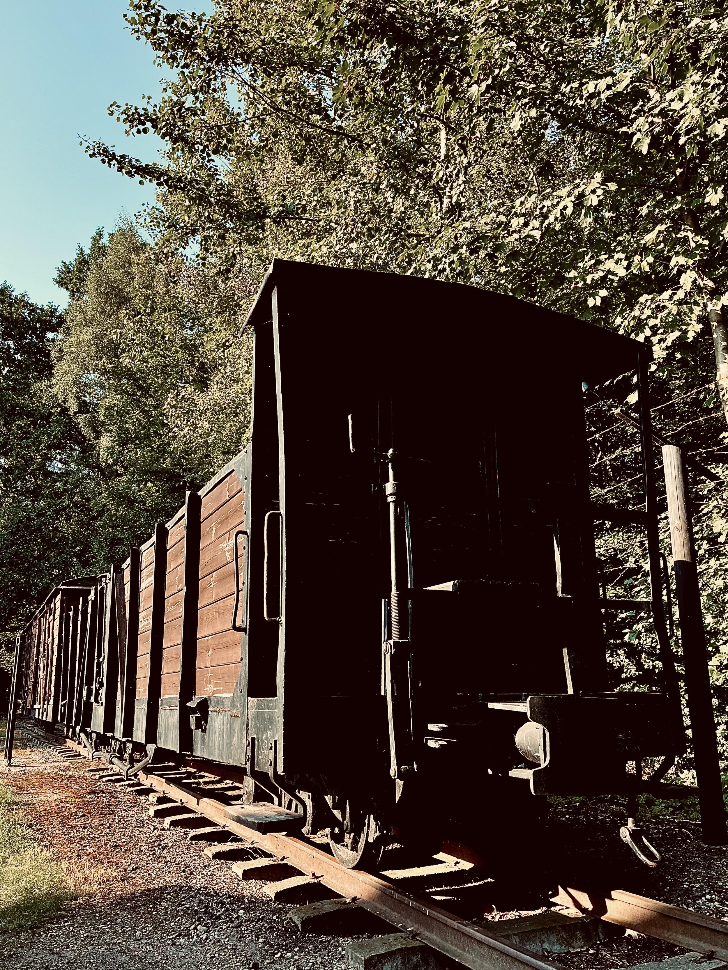 A train with closed carriages where Jews were poisoned.