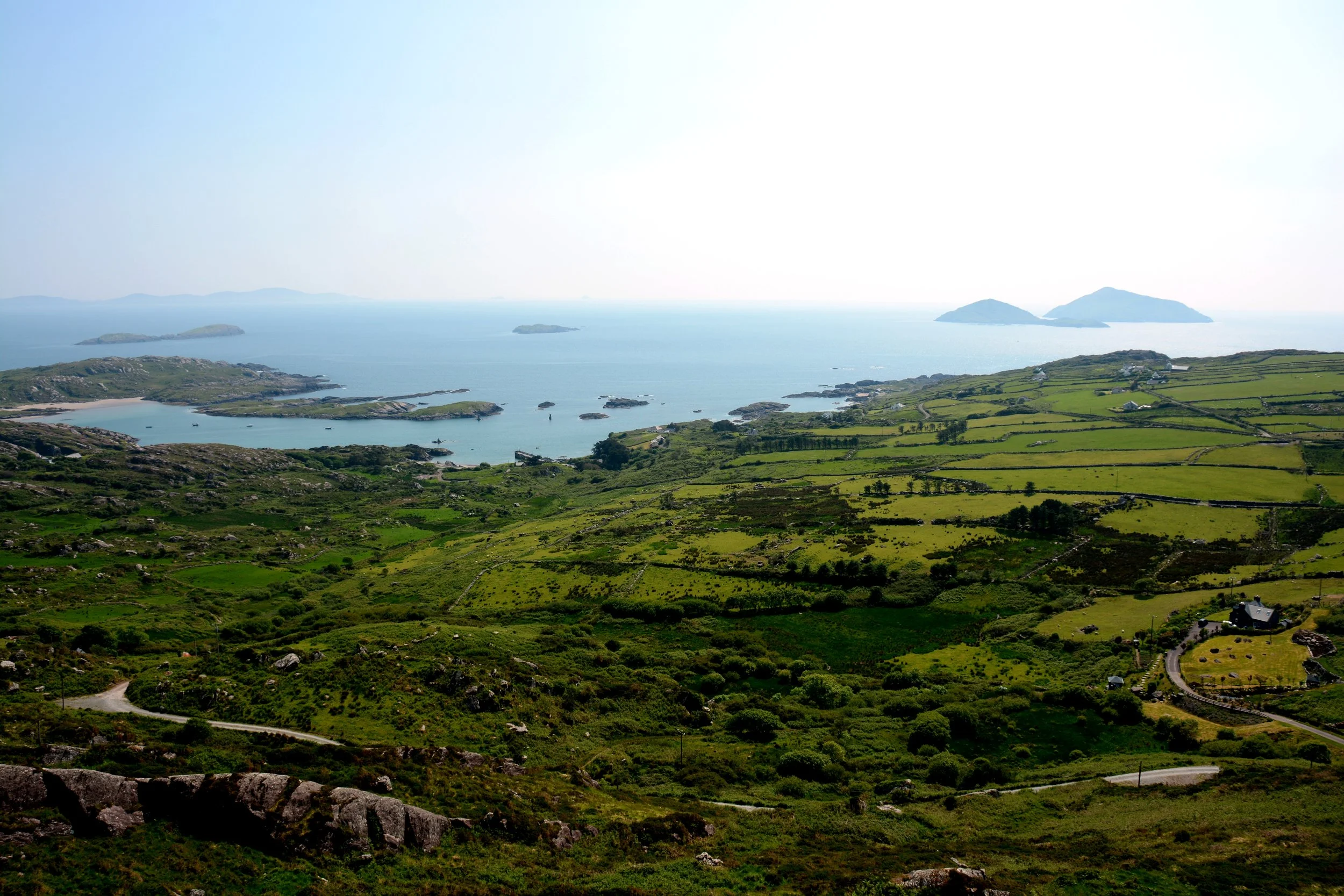 DSC_0351_edited-1.jpg