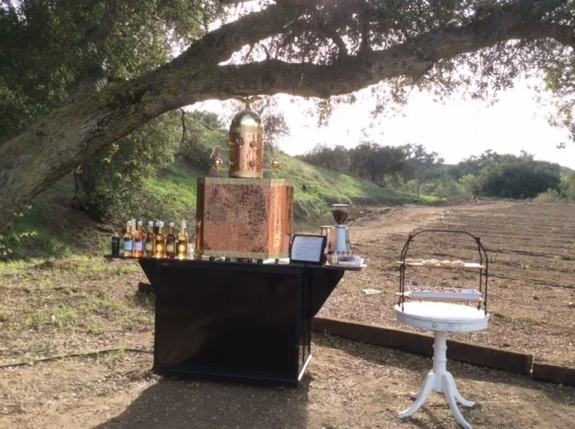 Hammered Copper Under Tree.JPG