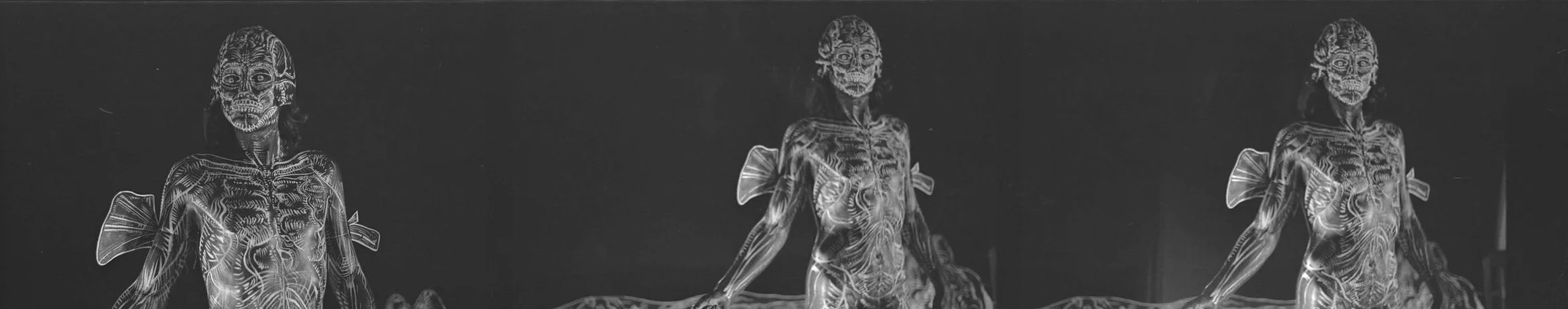 cb negs 2012 96dpi 091-strip.jpg