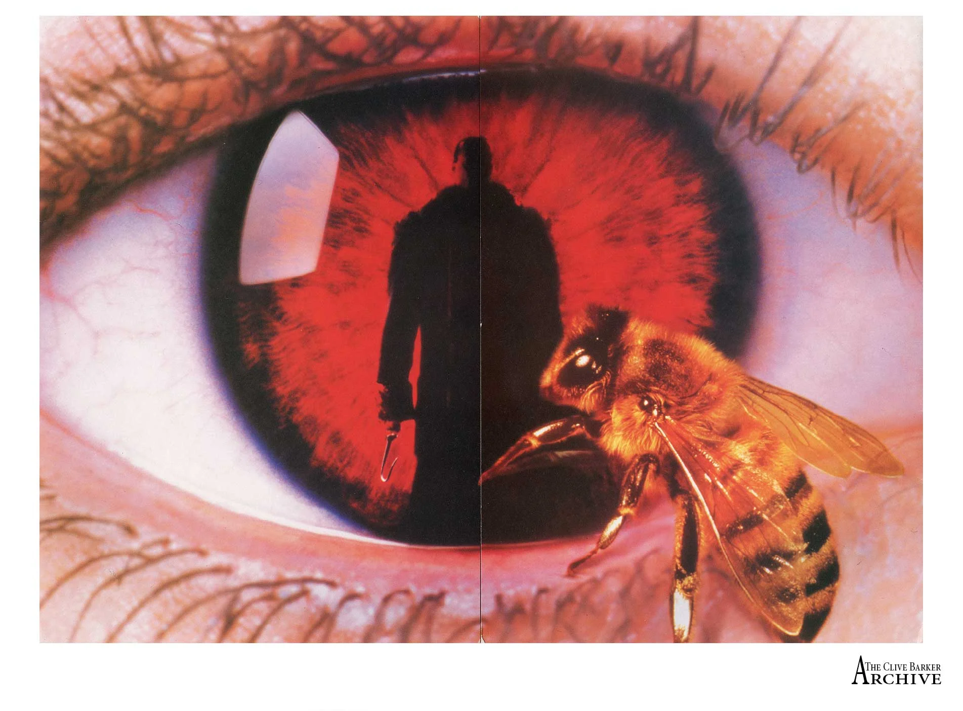 Candyman 2 - UK Press Kit