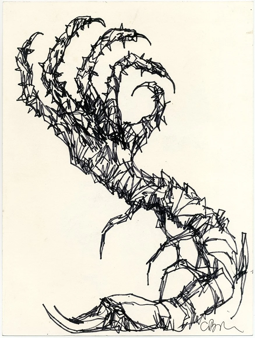 art july2026 001.jpg