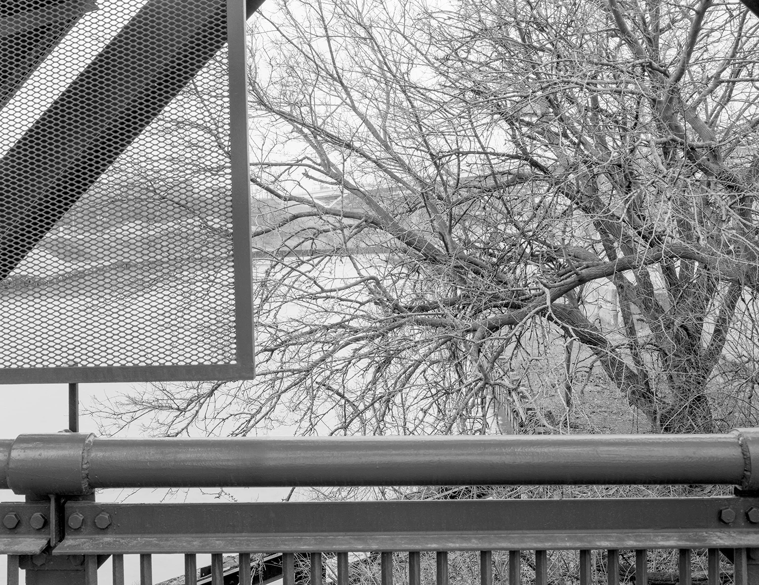 River2_Small_1200_004.jpg
