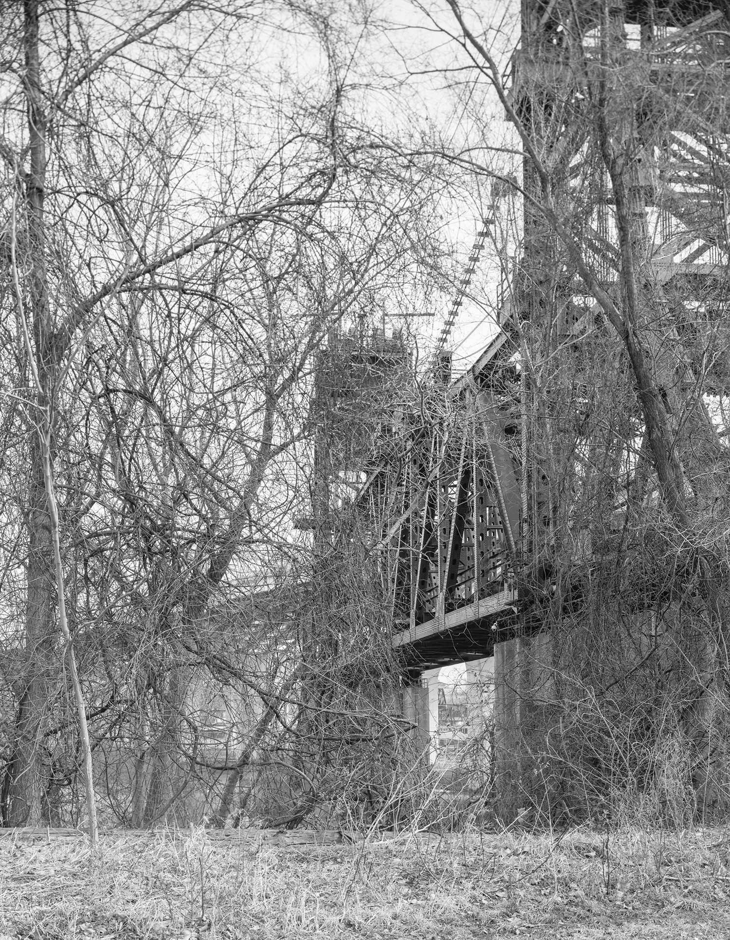 River2_Small_1200_008.jpg
