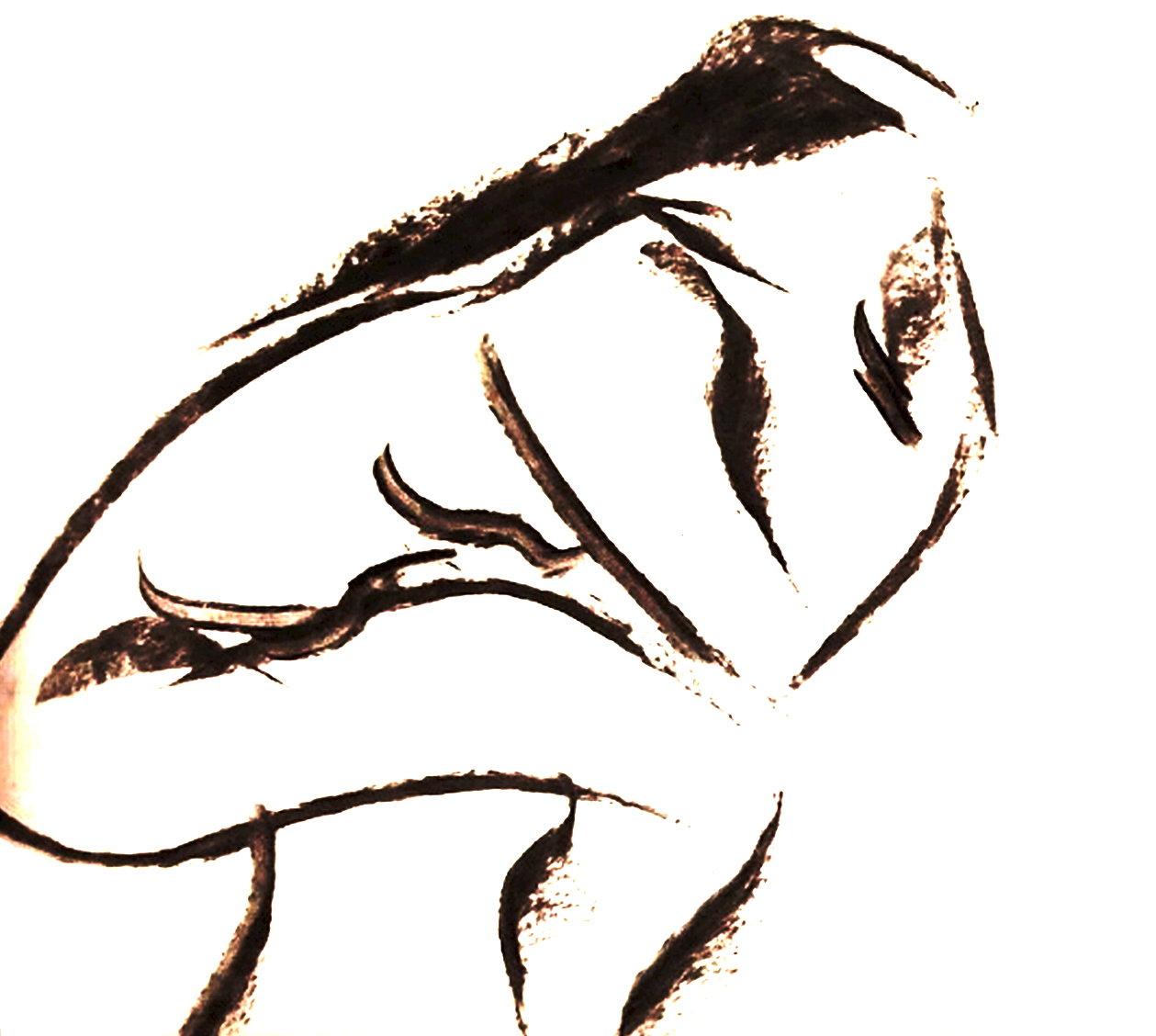 life drawing preview image.jpg