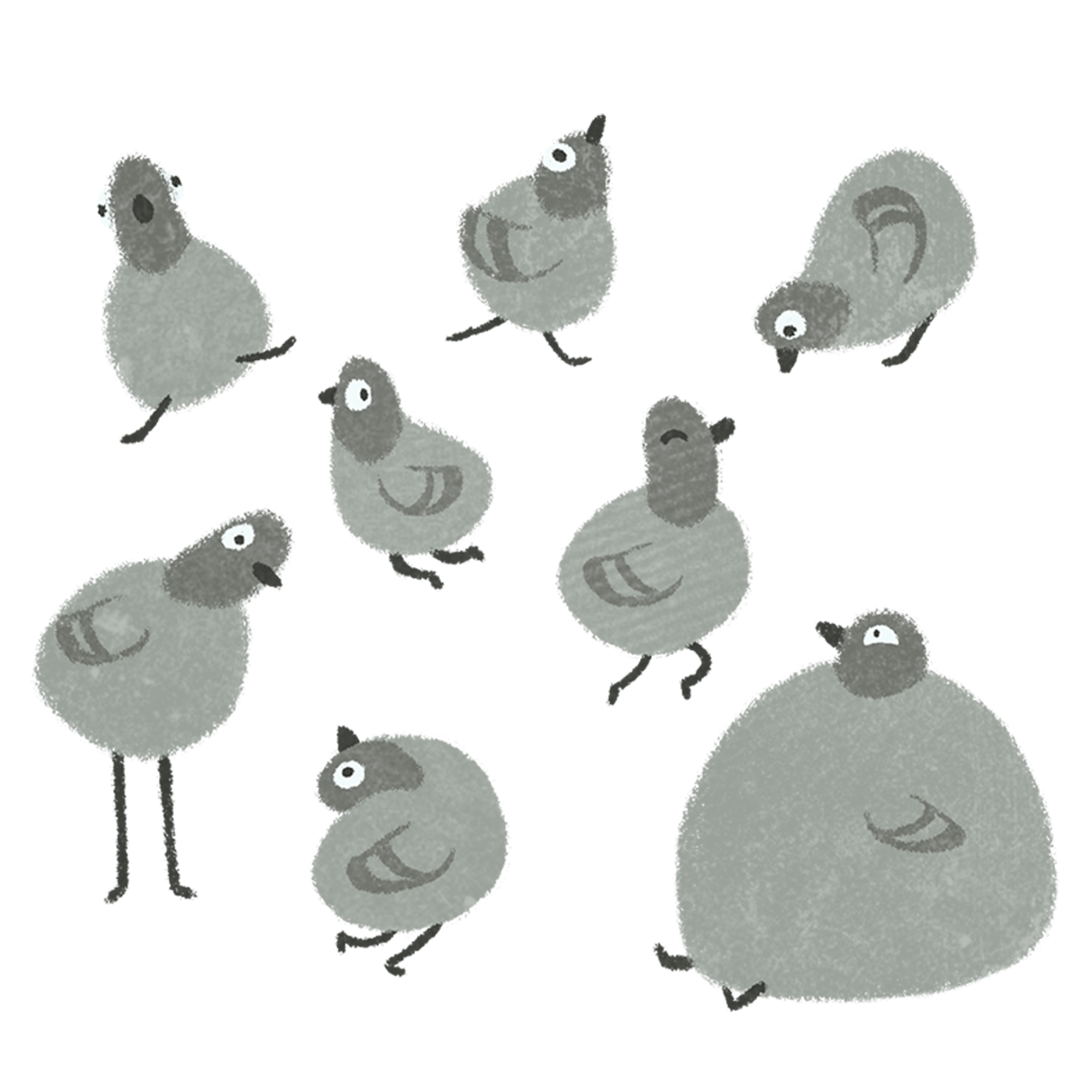 WeirdPidgeons_01.png