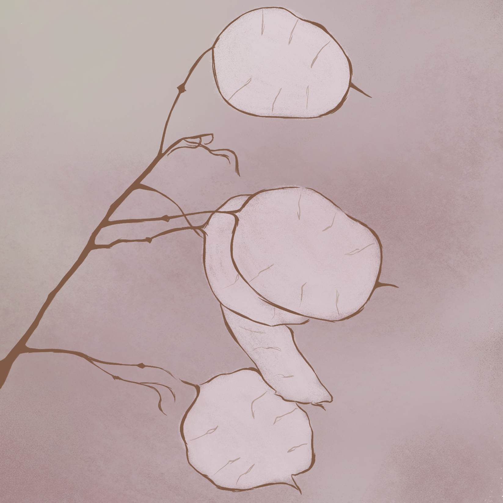 08 copy.png