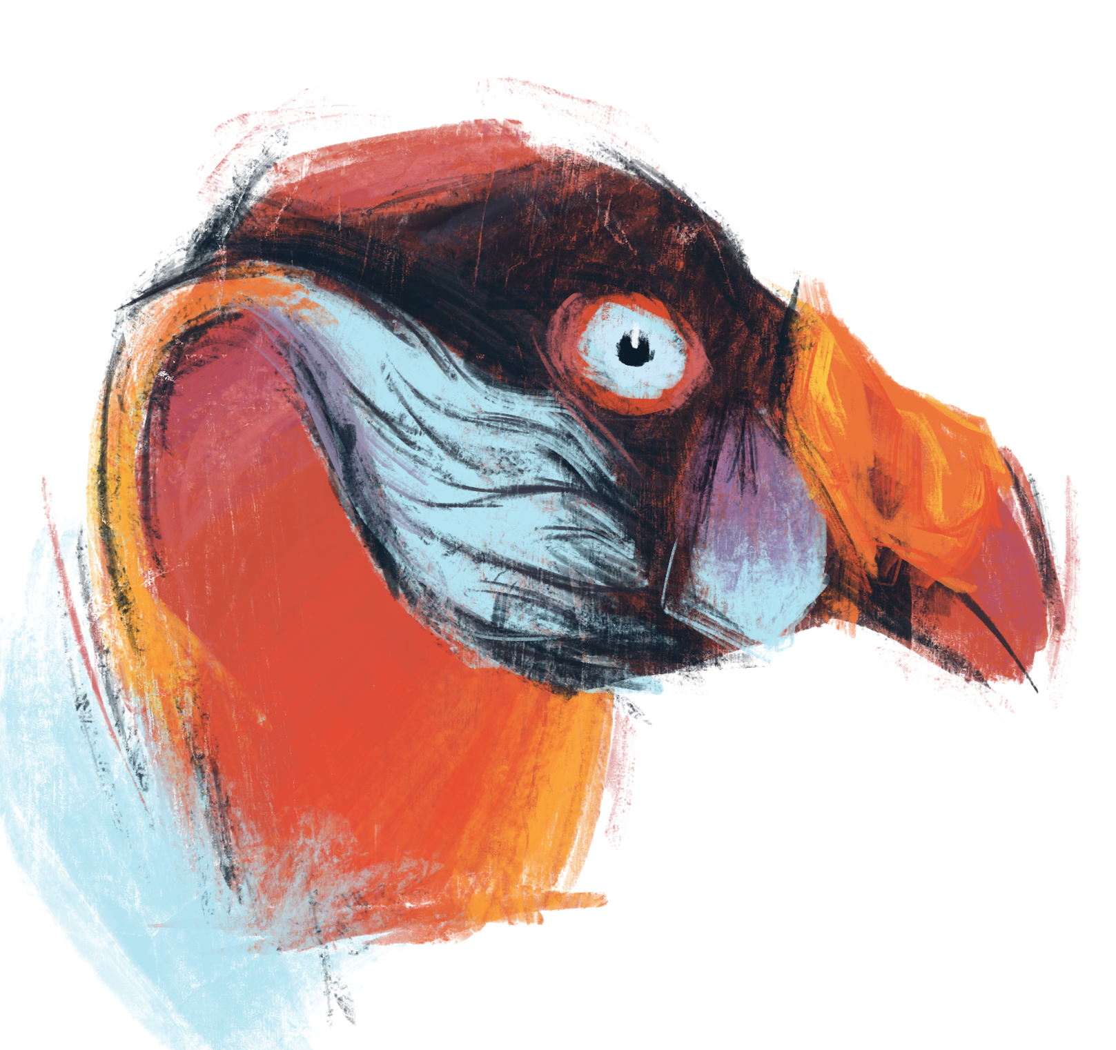 Birb_01.png