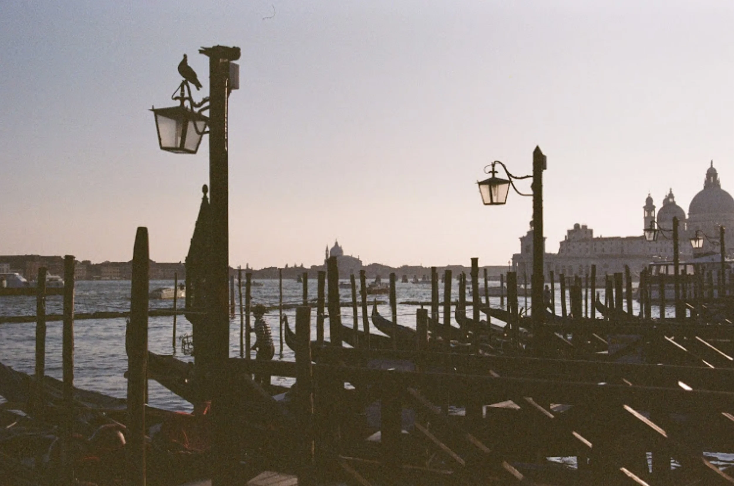 Gondolas.jpg
