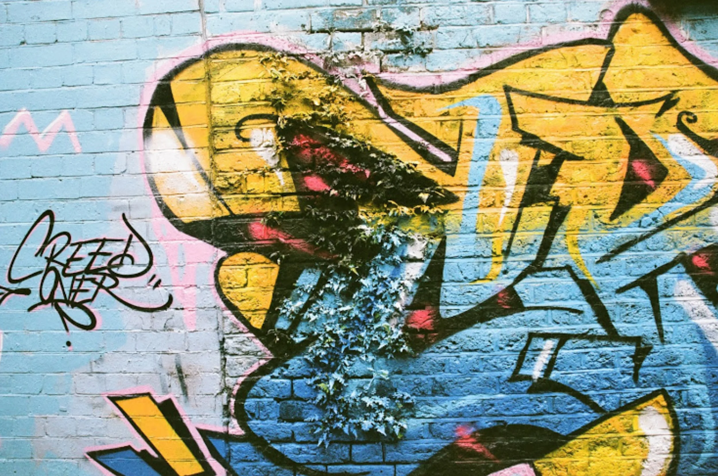 Graffiti Flower.jpg
