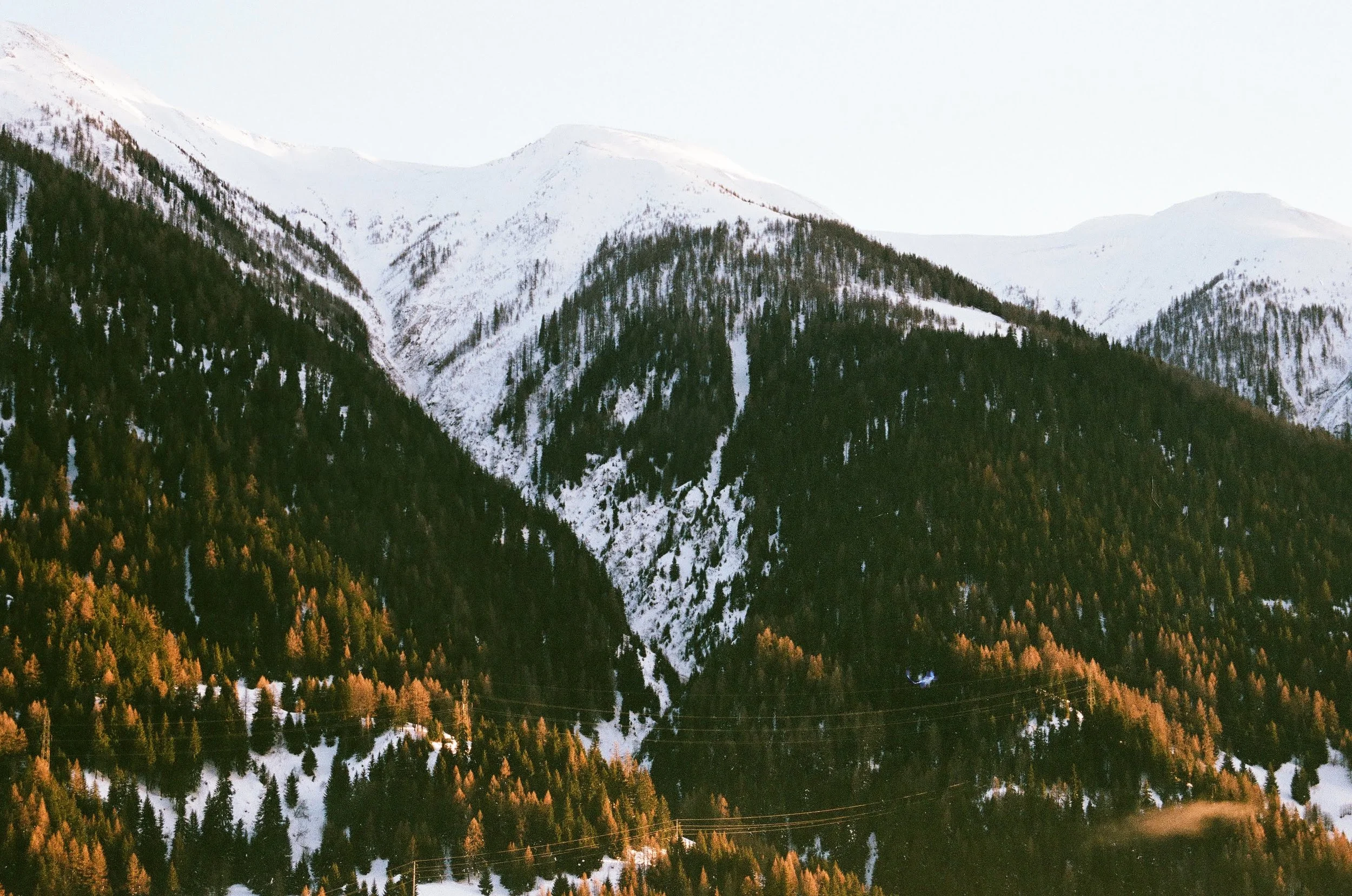0036_36.jpg