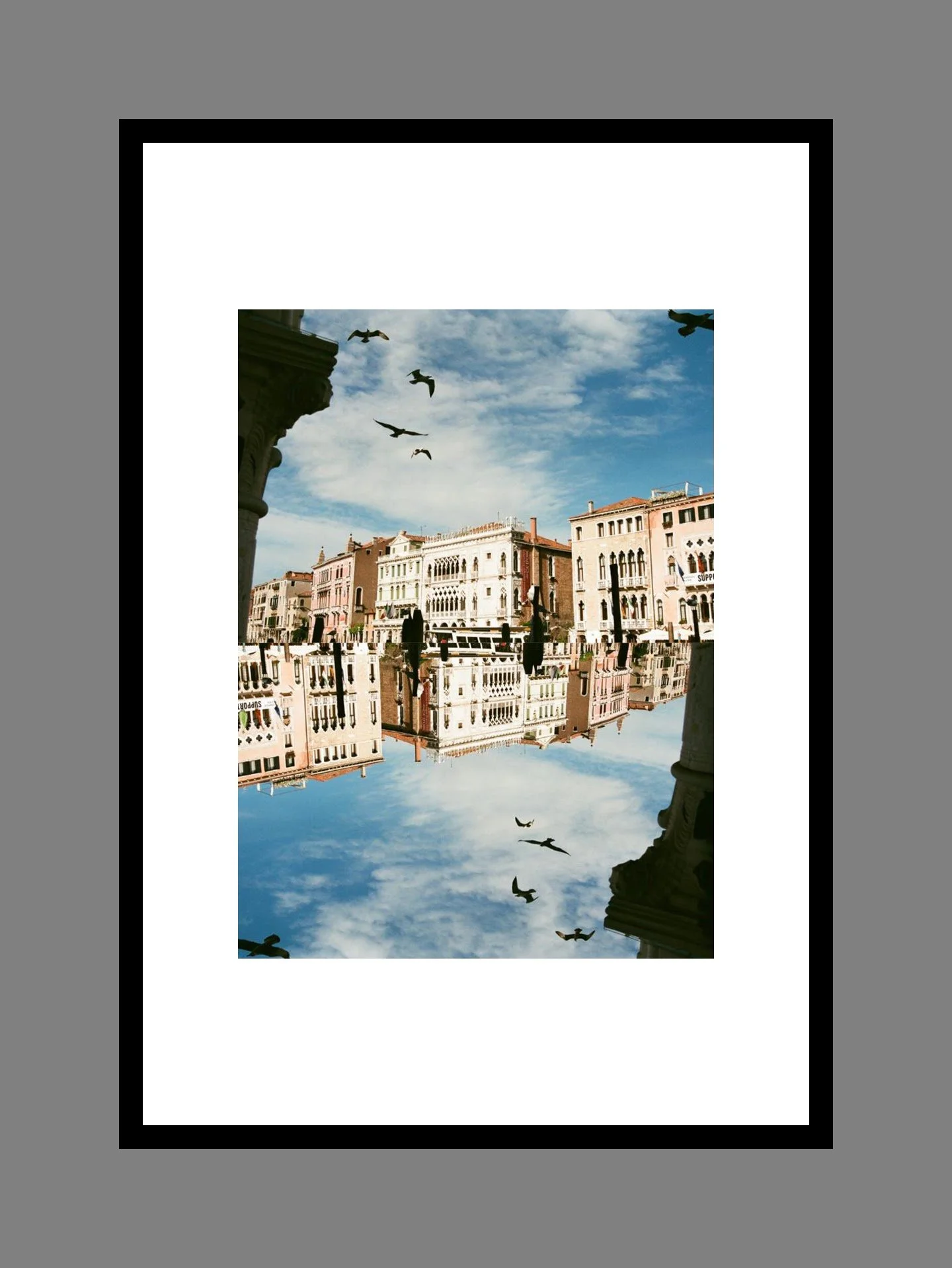 image 003 for the daisy collection.JPG