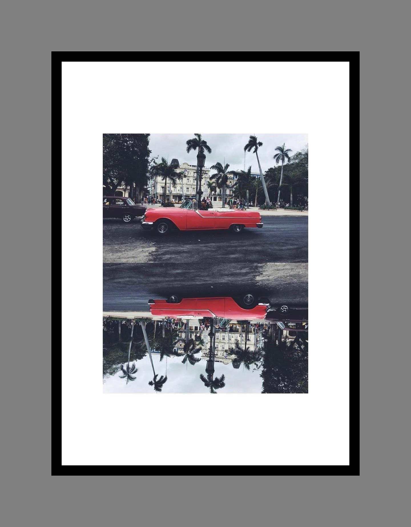 image 013 for the daisy collection.JPG