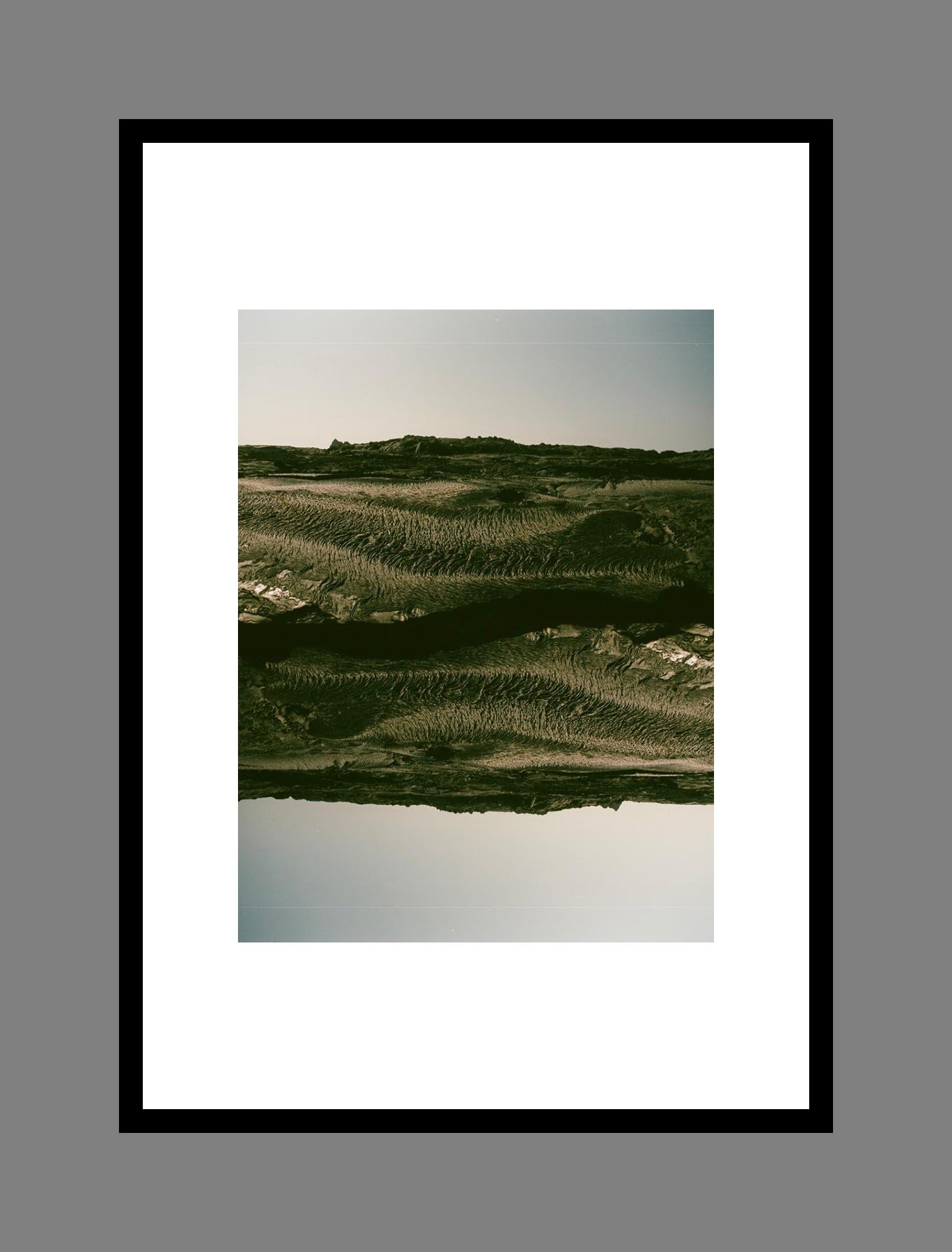 image 015 for the daisy collection.JPG