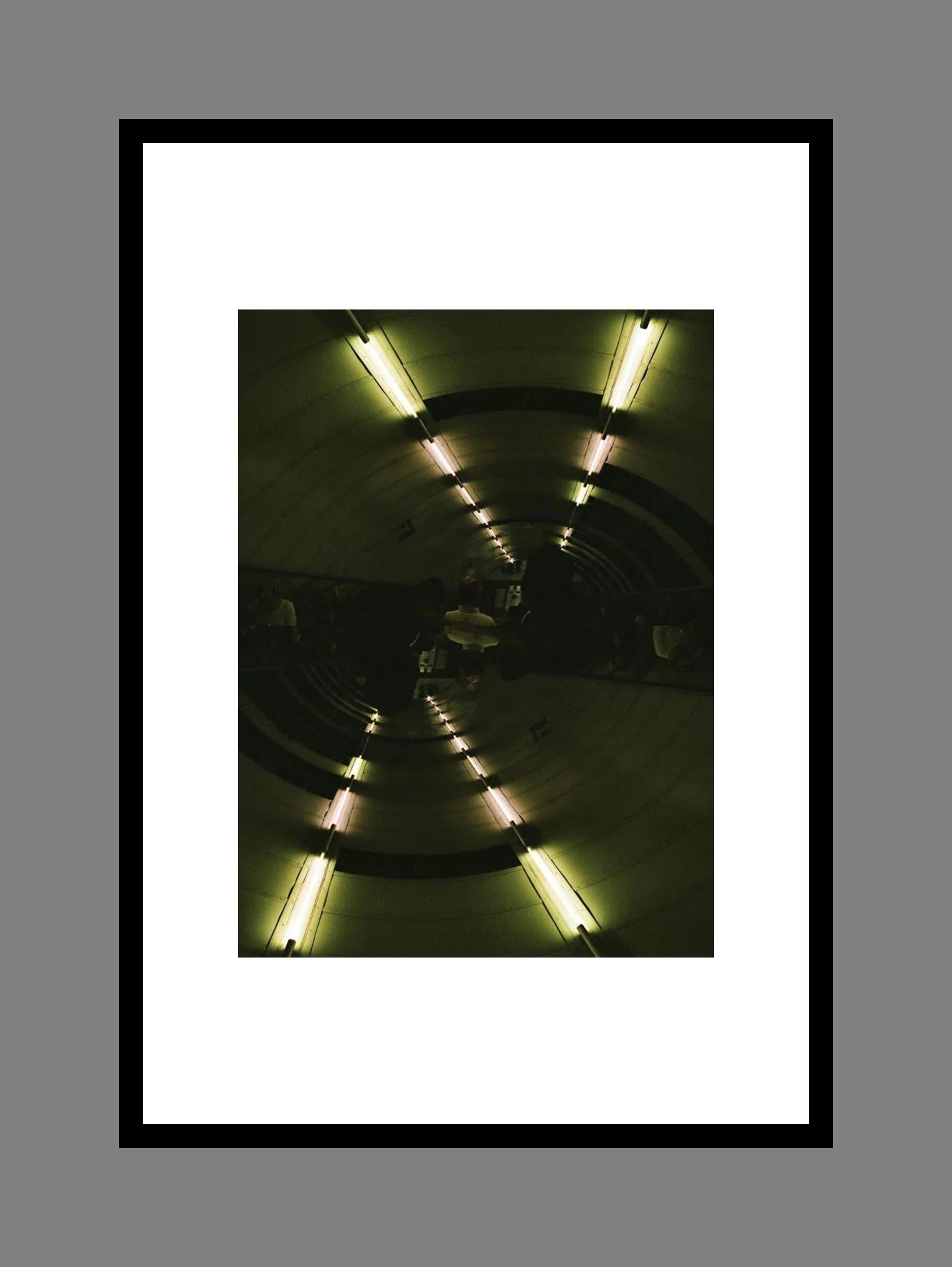 image 016 for the daisy collection.JPG