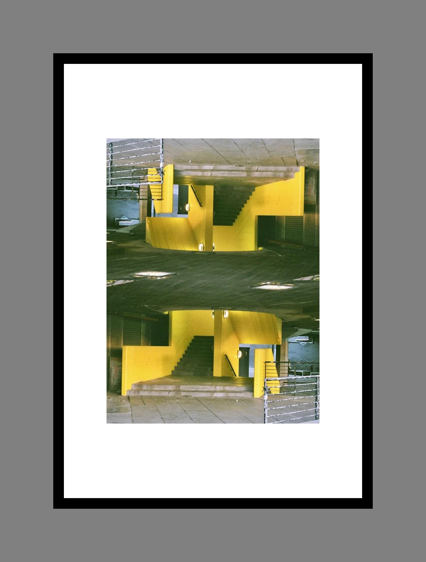 image 020 for the daisy collection.JPG