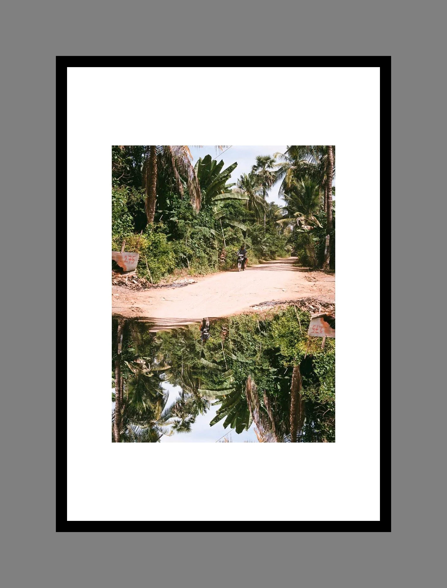 image 010 for the daisy collection.JPG