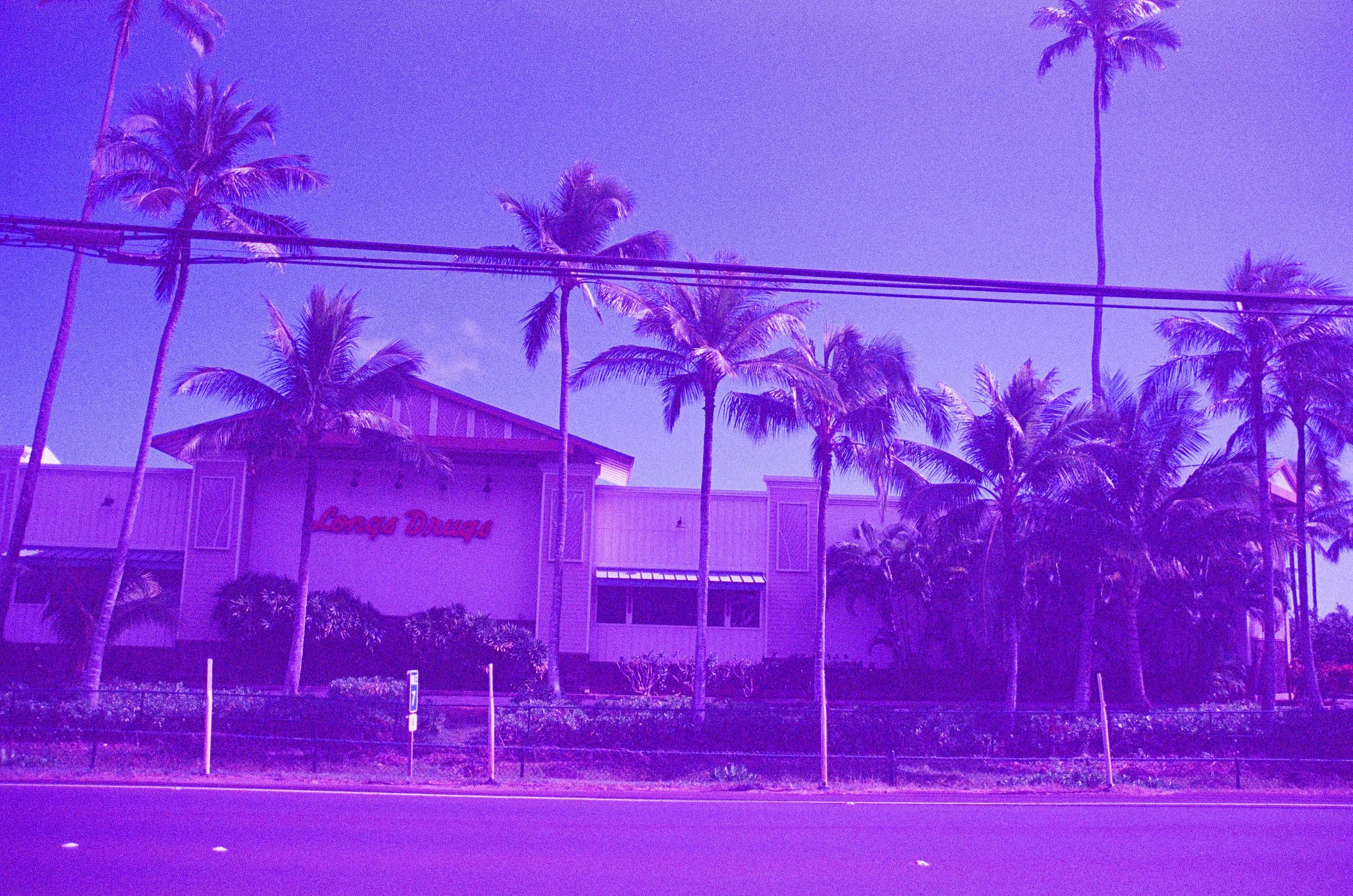 daisy hawaii image_-27.jpg