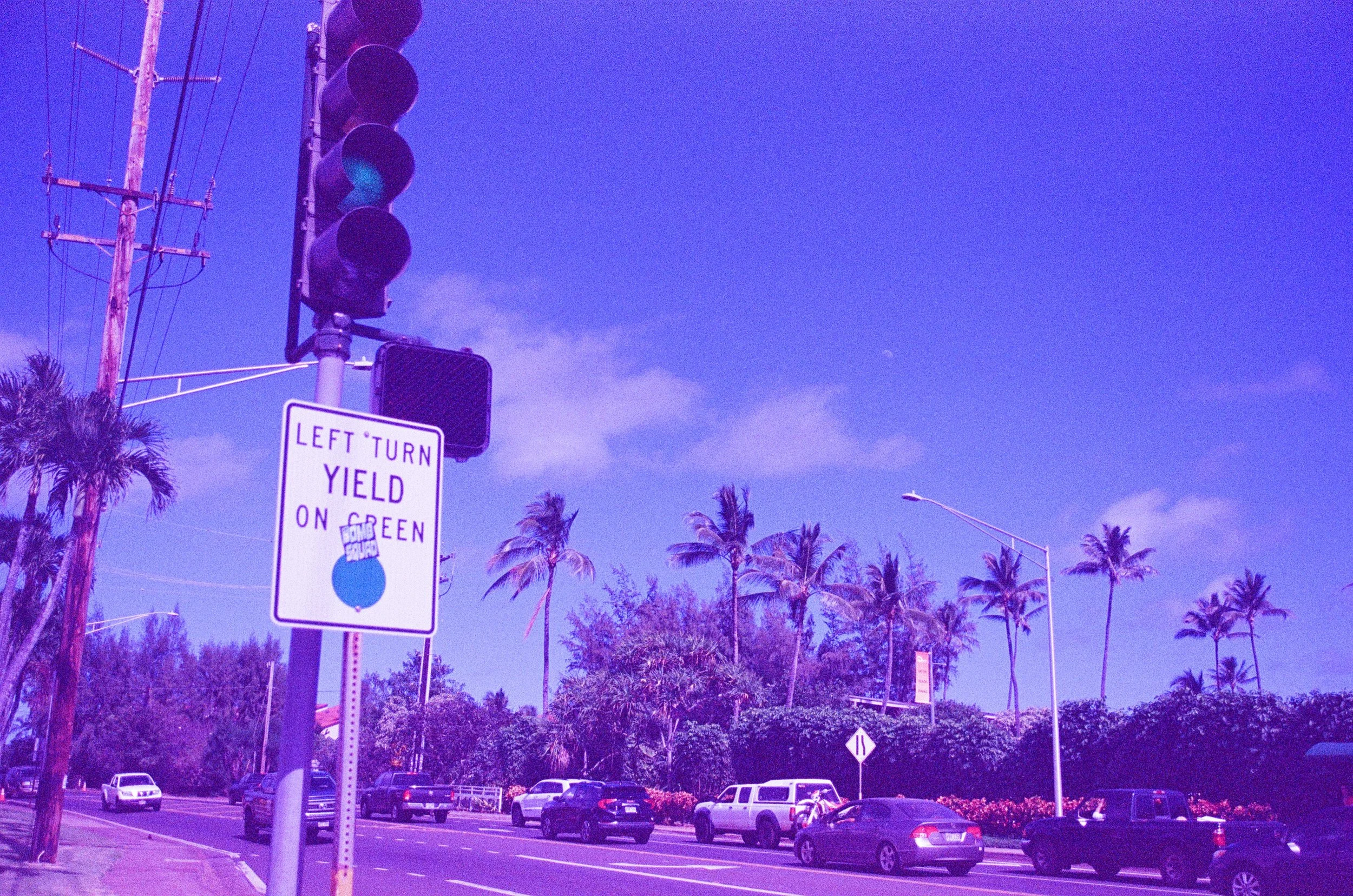 daisy hawaii image_-28.jpg